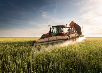 U.S. Tariffs Drive Up Packaging Costs for Food Producers