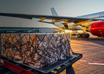 Tariff Delays Fail to Save U.S. Holiday Imports